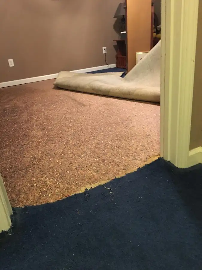 Carpet pad removal revealing water damage during Drying & Dehumidification in Dranesville