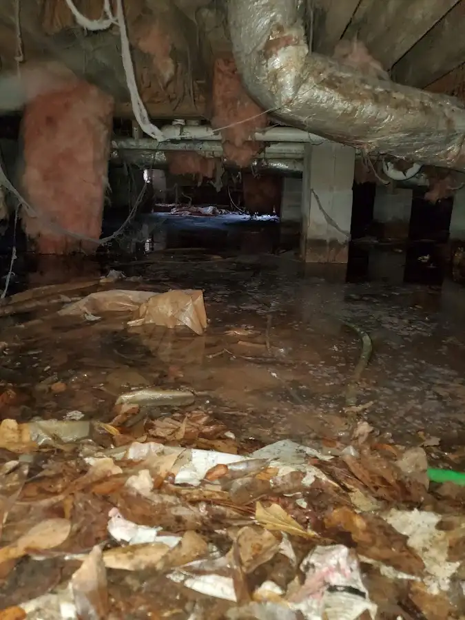 Crawl space flood assessment for Leak Detection & Repair in Dranesville