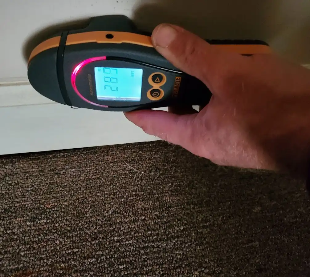 Moisture detection at baseboard during Mold Inspection & Testing in Dranesville